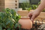 guide arrosage du jardin