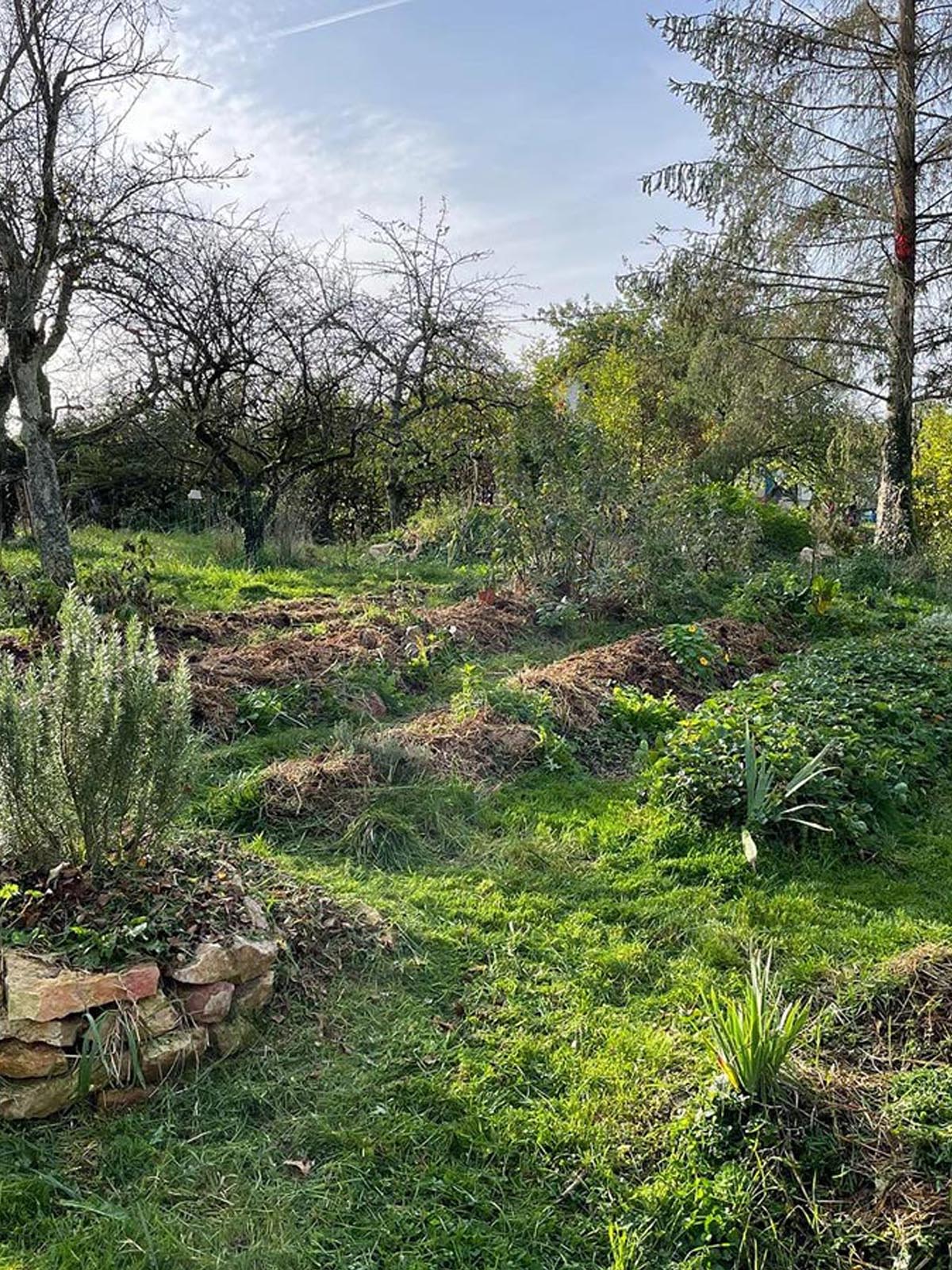 Octopousse entreprises RSE