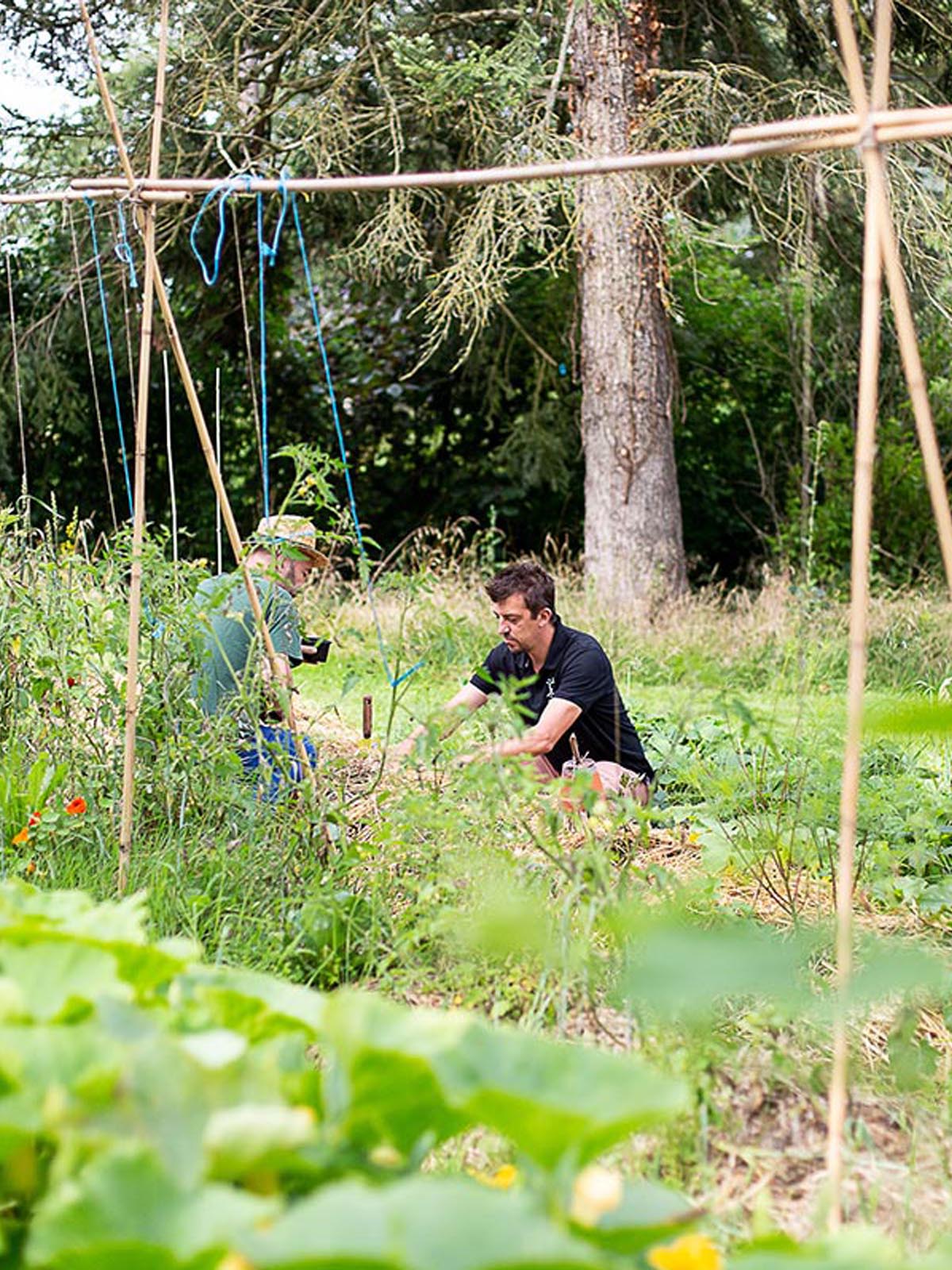 Octopousse formation particulier permaculture