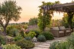 7 astuces pour jardin été fleuri