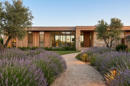 longue allee de jardin contemporaine