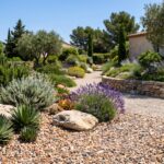 Jardin sec méditerranéen avec plantes succulentes et graviers colorés