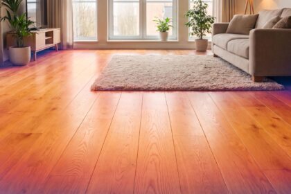 Sol Parquet moderne