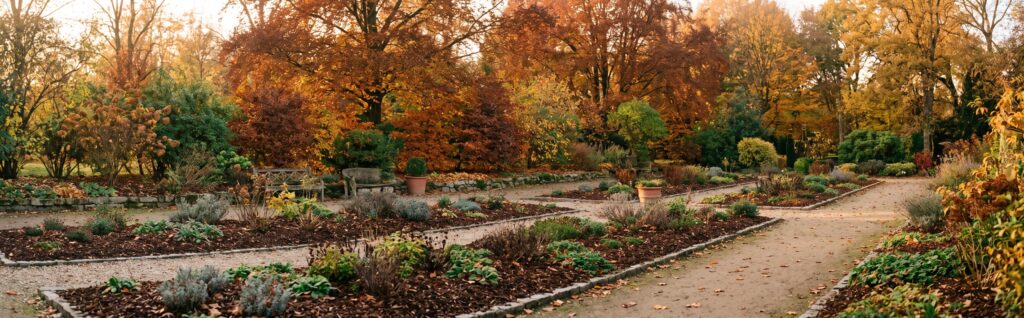 Un jardin préparé pour l'automne avec des feuilles orangées, prêt pour l'hiver.