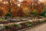Un jardin préparé pour l'automne avec des feuilles orangées, prêt pour l'hiver.