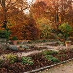 Un jardin préparé pour l'automne avec des feuilles orangées, prêt pour l'hiver.