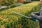 paysagiste taillant une haie de jardin soignée avec des outils professionnels