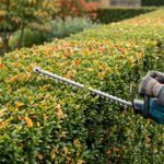 paysagiste taillant une haie de jardin soignée avec des outils professionnels